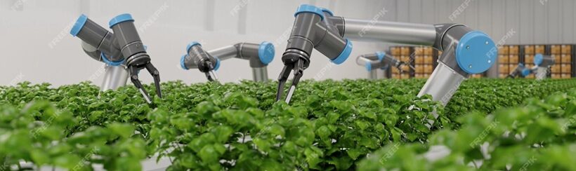 Robotica in agricoltura