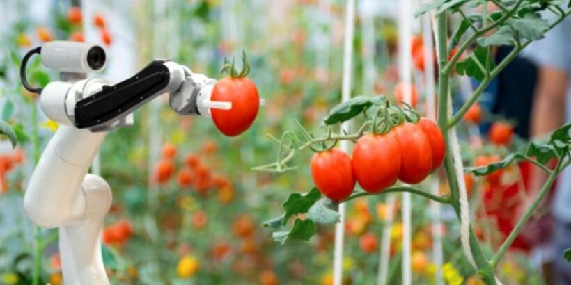 Robot frequenti in agricoltura