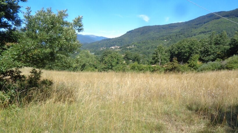 Appennino tosco romagnolo