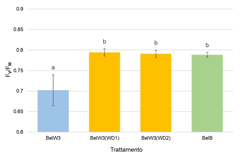 Valori dell'efficienza energetica