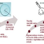 Fitoterapia e fertilità: quando la vita nasce dalla terra