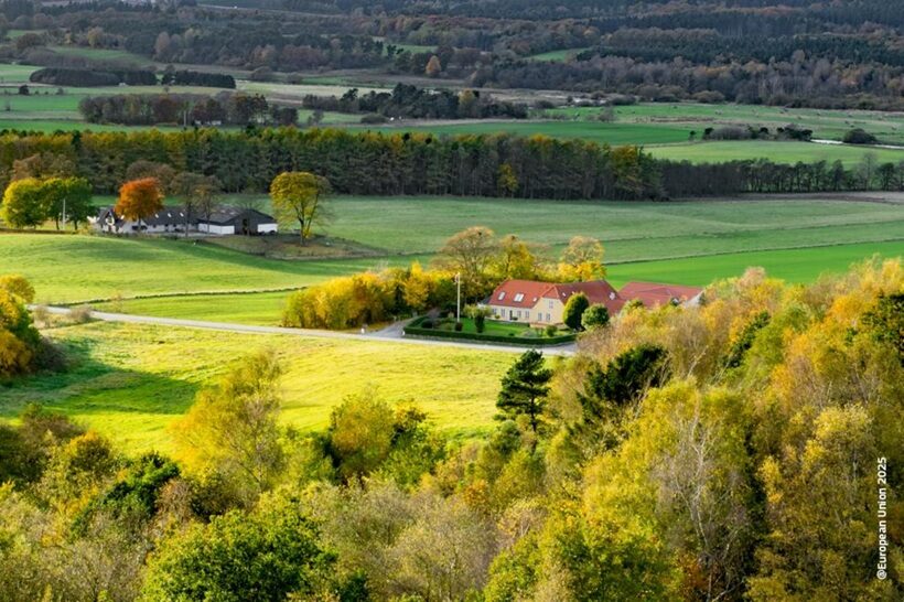 Sostenibilità sociale in agricoltura