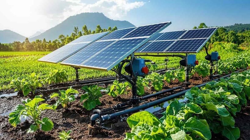 Fotovoltaico in agricoltura