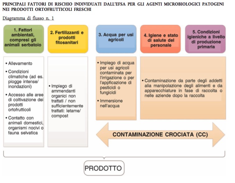 Fattori di rischio